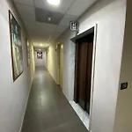 Pansini
