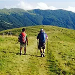 Pansini