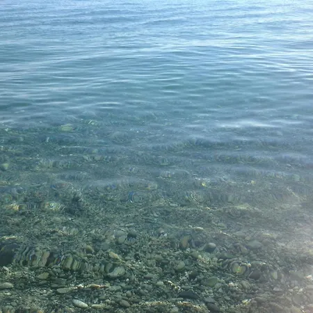 Pansini